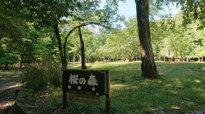 京都の公園ランキング！京都在住の筆者が選ぶ子供も犬も気軽に遊べるおすすめスポット３選！